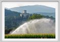 anghiari044
