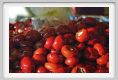 peperoncino_bombetta001