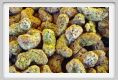 biscotti_pasta_mandorle_pistacchio002