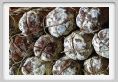 salame003