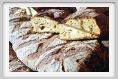 pane016