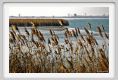 ravenna_valli_comacchio001
