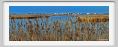 ravenna_valli_comacchio002