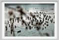 ravenna_valli_comacchio005