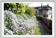 giardino_delle_rose4