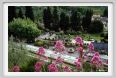 giardino_delle_rose4a