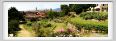 giardino_delle_rose10