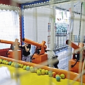 mondobimbo039
