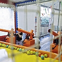 mondobimbo040