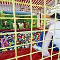 mondobimbo050