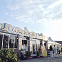 mondobimbo097