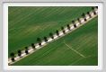 recanati_campagna07