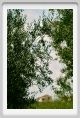 recanati_campagna05
