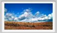 091014_recanati9