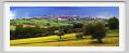 recanati_campagna35