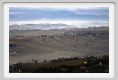 campagna_recanati017