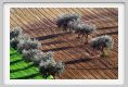 recanati0001