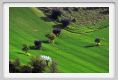 recanati_campagna1