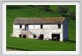 recanati_campagna05