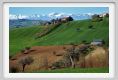 recanati_campagna01