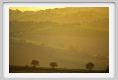 recanati_campagna31