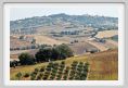 recanati082