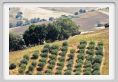 recanati083