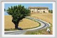 recanati084
