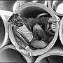 enrico_bozzano17_243