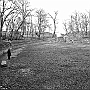 enrico_bozzano64_531