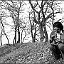 luigi_bandini64_301a