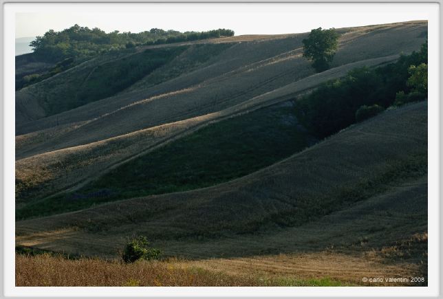 castelnuovo_berardenga005