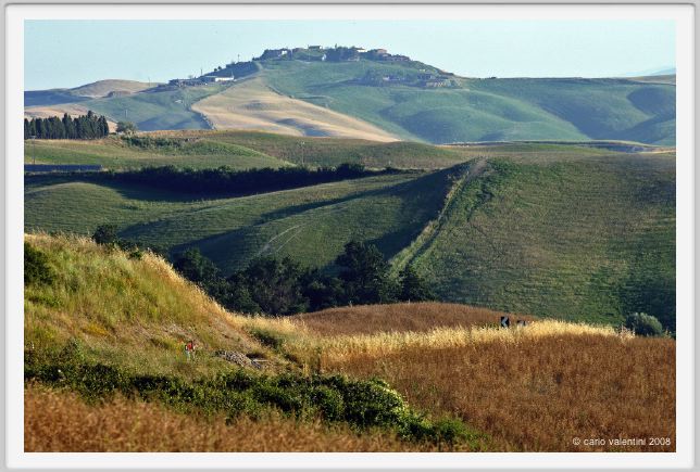 castelnuovo_berardenga006