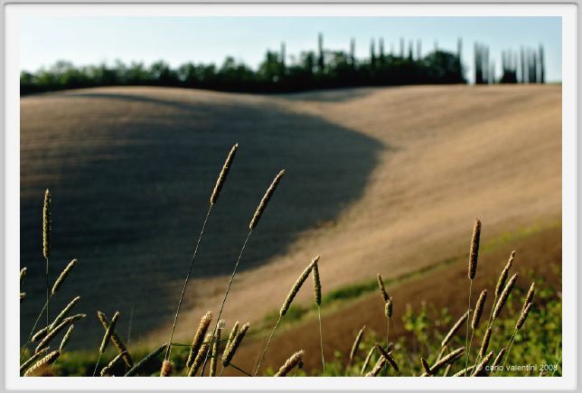 castelnuovo_berardenga007