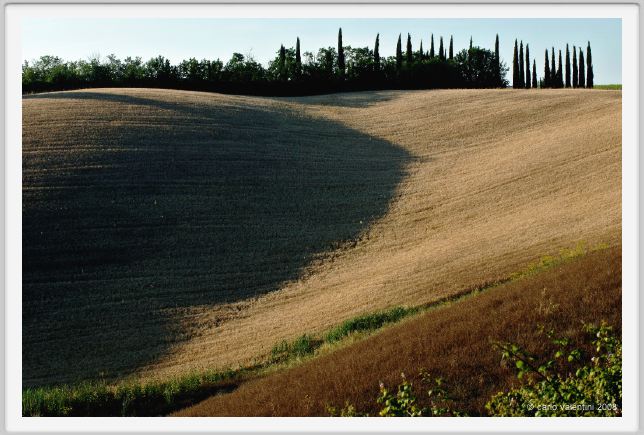 castelnuovo_berardenga008