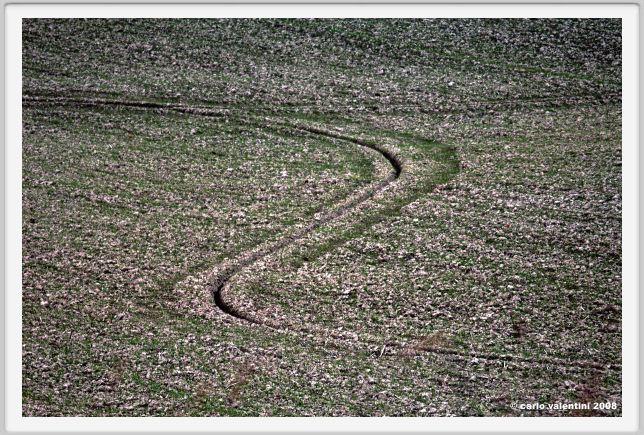 castelnuovo_berardenga003