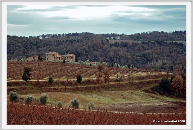 tenuta_di_arceno003