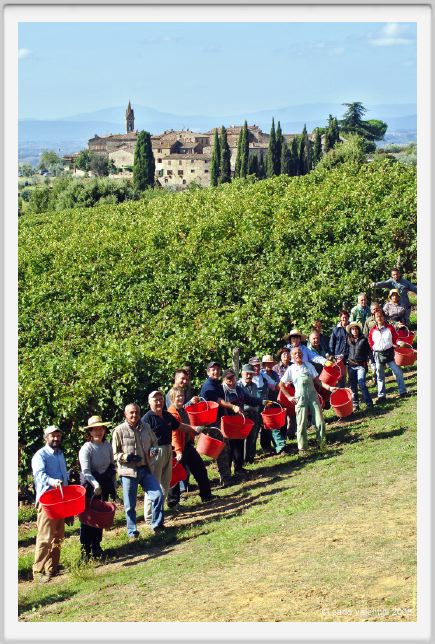 tenuta_di_arceno1117