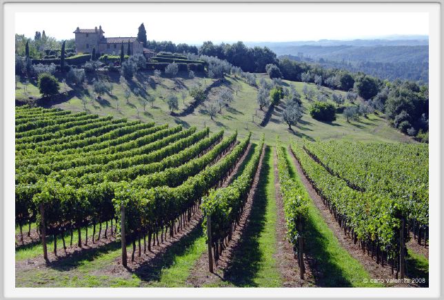 tenuta_di_arceno1102