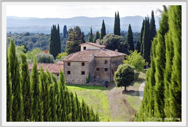 tenuta_di_arceno1154