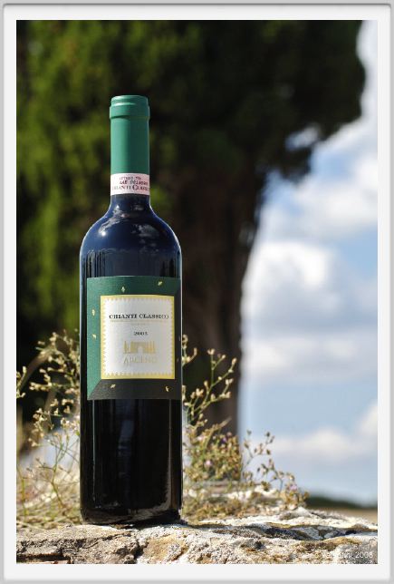 tenuta_di_arceno1194