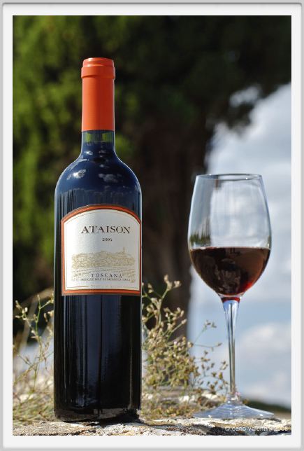 tenuta_di_arceno1198