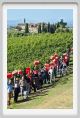 tenuta_di_arceno1116