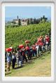 tenuta_di_arceno1119