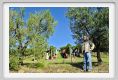 tenuta_di_arceno1125