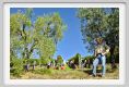 tenuta_di_arceno1129