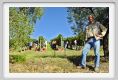 tenuta_di_arceno1133