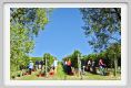 tenuta_di_arceno1134