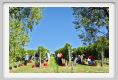 tenuta_di_arceno1135