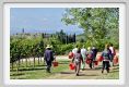 tenuta_di_arceno1149